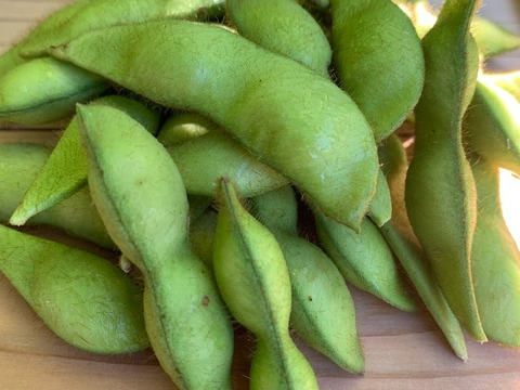 京都　夏黒豆えだ豆　自然栽培枝豆　農薬・化学肥料・除草剤不使用　１K（250g×4パック)