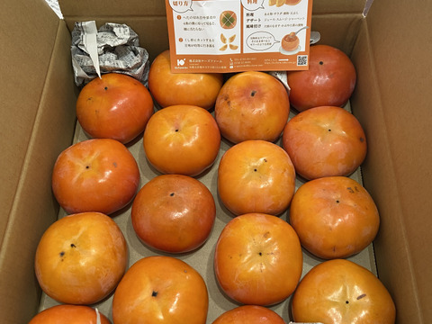 和歌山県産富有柿（家庭用）L.2Lサイズ14個〜16個　※贈答用には向きません