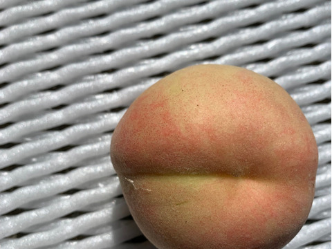 あかつき　桃　家庭用訳あり約5キロ22-28玉入　食べきりサイズがちょうどいい！