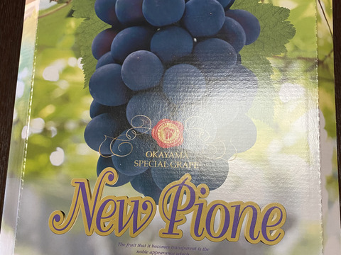 甘すぎて食べ過ぎる！ぶどうの定番岡山県産ピオーネ（3〜4房入）