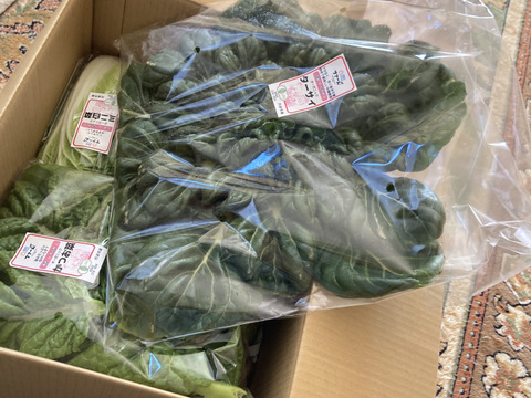 【定期便】丹波のこだわり野菜セット（５～１０品目）