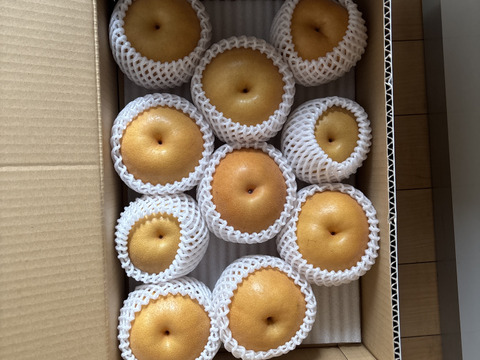 本日最終!【農薬節減】もぎたて!! 梨 訳あり 豊水 5kg(10〜16玉) ご自宅用に!! 5キロ 家庭用