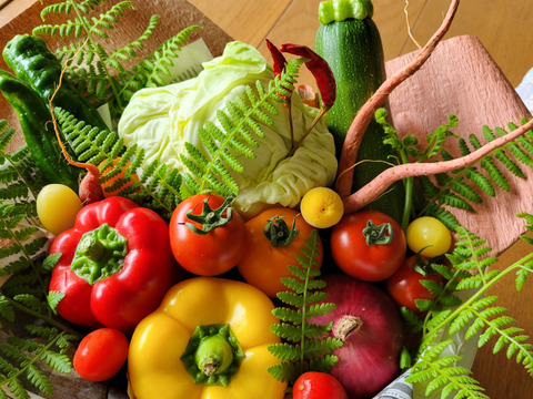 🍅🥒京野菜ブーケ💐【冬ギフト】