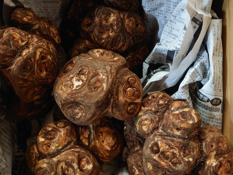 お正月用🎍八ツ頭  2kg【縁起物‼️】