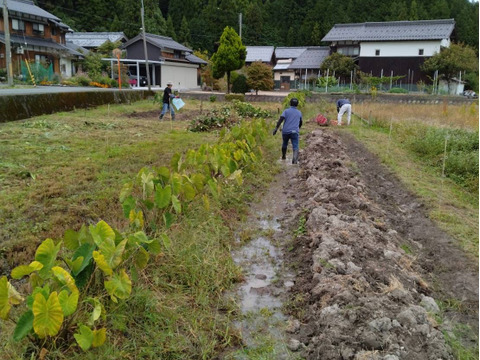 サツマイモ2Kg。皮のキズなど訳アリ品‼️
食べらたホクホク❣️ネットリ甘い品種も❣️除草剤不使用！『シルクスウィート』『紅はるか』『紅あずま』大きさ色々食べ比べ
