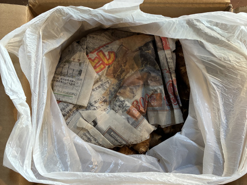 千葉県産　シャキシャキ食感！菊芋（1.5kg）