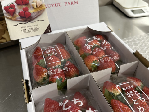 【新旧対決？】とちぎのいちご『とちあいか』・『とちおとめ』2種食べ比べセット（4パック）（260ｇ×4パック）【いちご食べ比べ】「熨斗対応可」