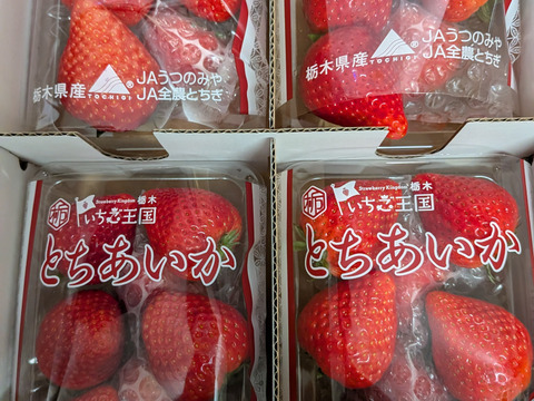 シャキッと歯応え！ジュワ～と果汁！完熟とちあいか！今話題の甘さが際立つ品種です！260g×4パック