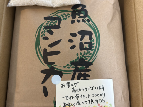 【定期便/毎度おまけ付】感動の甘み、いつも食卓に。たかはし家の魚沼産コシヒカリ（令和7年米/5kg）