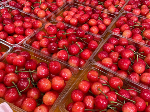 さくらんぼ【紅秀峰】1kg 🍒2L以上の大玉