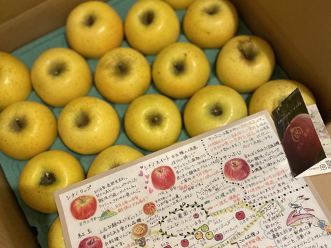 🏆りんごGP味わい部門受賞🏆【サステナりんご化学合成農薬50％以上削減】☆シナノゴールド☆家庭用（5kg、10〜20玉入り）甘みと酸味のバランス絶妙、ザクっとした硬めの食感のりんご