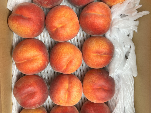 大人気！！長野県産桃【ワッサー】家庭用3kg