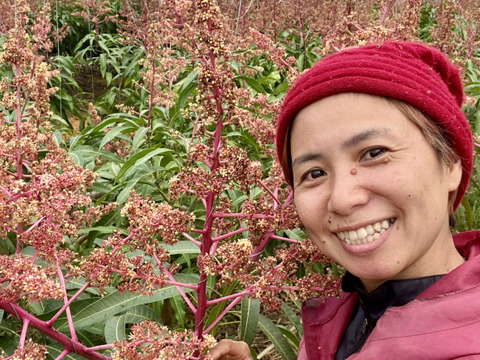 【数量限定】芳醇な香り沖縄完熟マンゴーご家庭用・1kg