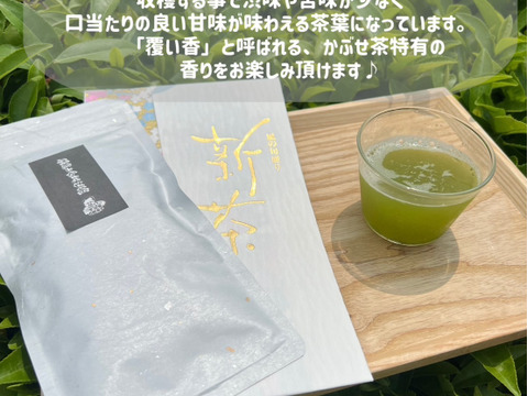 【2026年新茶飲み比べ】深蒸しかぶせ茶80g・特上煎茶100g・特上玄米茶150g　農薬・化学肥料・除草剤・畜産堆肥不使用　宇治茶100%　2026年産