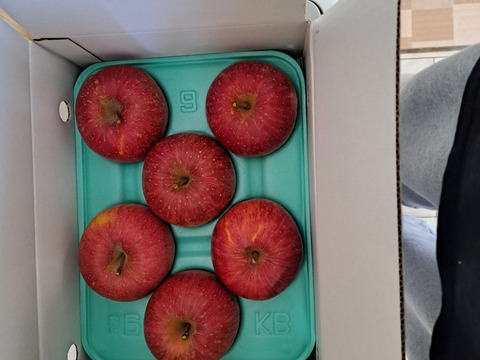サンふじ　 大野農園を代表する品種「りんごの王様」8～6個程度（2kg程度）