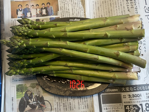水の都 熊本の渓谷育ち｜甘み溢れる「極太」アスパラガス 500g