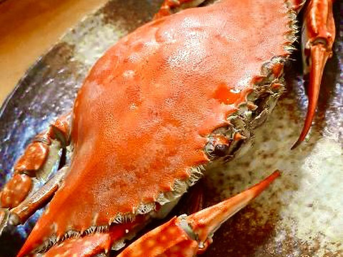 日間賀島産　ワタリガニ  【大】250g±個体を8杯で2kg 採れたら即，浜茹で発送‼︎ケジャン用冷凍も可