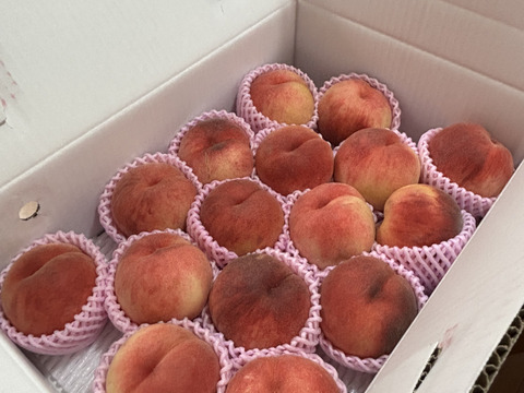 🍑【2025年8月下旬桃】5kg　13～20玉【ASIAGAP認証農場：津軽農園】　　安心・安全な桃　収穫した日に発送　家庭用　農家直送【朝どれ】