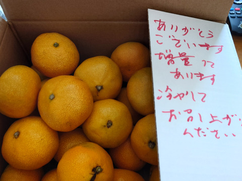 真夏の果実！　完熟ハウスみかん　Sサイズ（直径約5.5~6.1ｃｍ）2kg