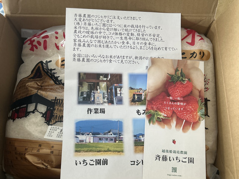 令和7年産 新米 新潟県産コシヒカリ 10kg【5kg×2袋】受注後精米 こしひかり