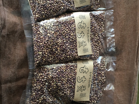 もち麦　ダイシモチ農薬化学肥料不使用　熊本県産　10kg