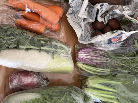 【未来をつくる笑み野菜】宮崎県産☆季節のお野菜セットM(8～9品程度)☆