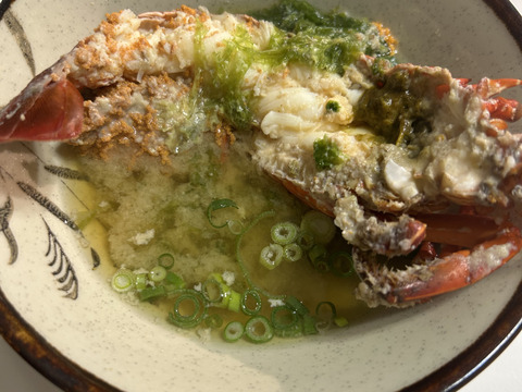 五島列島産 伊勢海老 600㌘