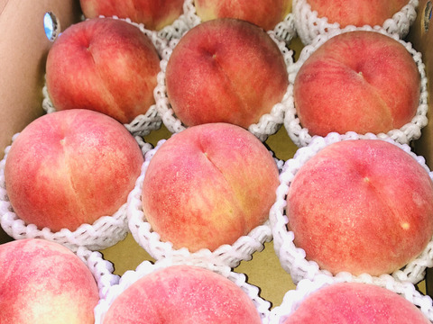 甘くてジューシー⭐︎桃源郷福島の『あかつき』（３kg箱12〜15個）【本州の方限定】