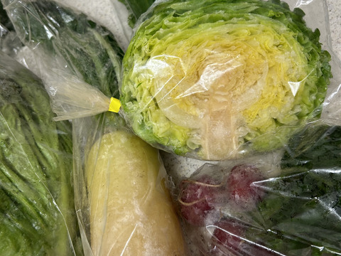 旬野菜Ｓサイズ【7～9品目少量多品目】生命力溢れる野菜詰め合わせ＊農薬·化学肥料·除草剤不使用