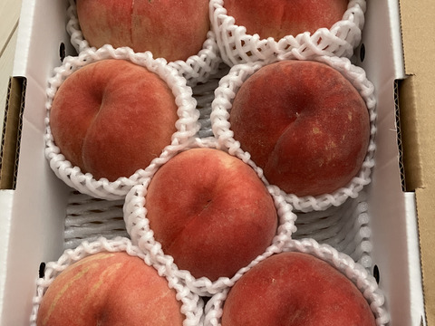 \9月12日まで/【ｶﾘｶﾘ硬めもも】品種おまかせ🍑２キロ 🍑【ご家庭用桃】【訳あり】【全部で４品種】