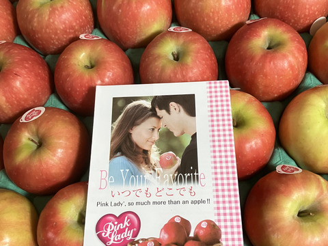 【発送中🍎】ピンクレディー®︎ 家庭用B品 5キロ箱使用 長野県 信州 安曇野 リンゴ 幻 幻のリンゴ 予約 希少 旬 小キズあり 中玉〜小玉 商品ID31409