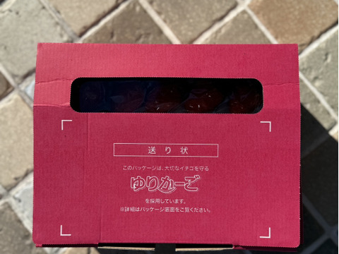 今シーズン初いちご！いちご博銀賞受賞！驚く甘さの三田産章姫、箱入り　（30粒入り）