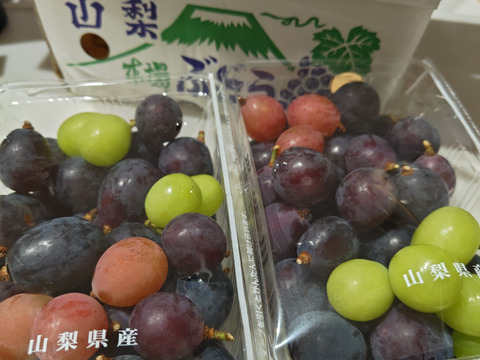 【つぶつぶセット】巨峰（約1.2kg）甘いけど、色むら、小粒多数。巨峰のお味を楽しめます。