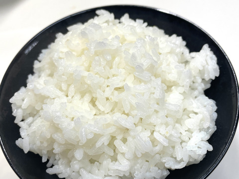 令和6年新米】 ASIAGAP認証農場 愛知県岡崎産 コシヒカリ 5kg