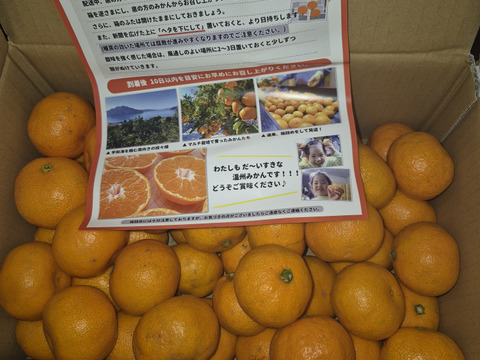 『愛媛県産小玉みかん』(ご家庭用3kg)