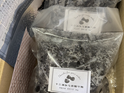 【朝どれ】十三湖産「大和しじみ」中サイズ2kg