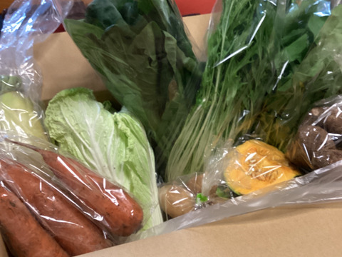 【10日分の野菜！】旬の野菜セット9～12品【農薬・化学肥料不使用】
