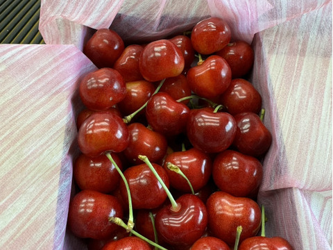 (限定販売)やまがた紅王