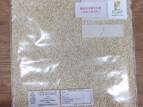 【簡易包装・メール便】会津喜多方産 FGAP認証 もち麦「はねうまもち」700g