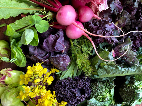 野菜ソムリエ厳選 農薬化学肥料不使用！
こだわり旬のお試し野菜セット！ 滋賀県産