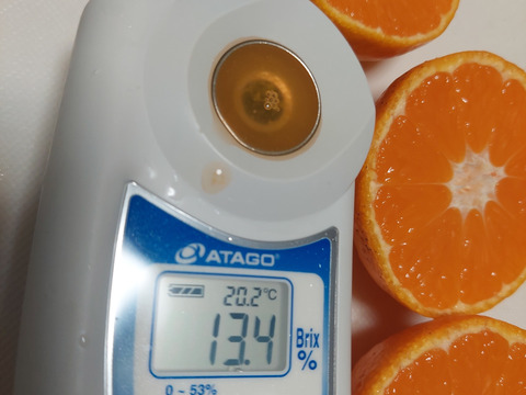 有田みかん【小粒小玉】2kg（箱込）