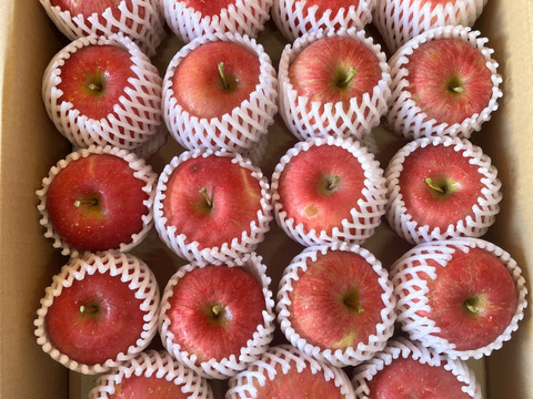 青森県産りんご 弘前ふじ 家庭用【5㎏ 12～20個入り】：青森県産のふじ