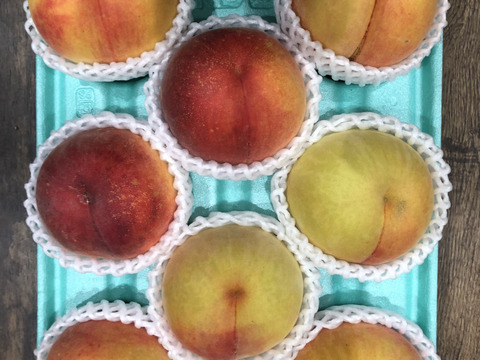 黄金桃8玉　A級