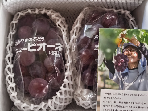 【なくなり次第終了】人気No.1！岡山産ピオーネ 2房｜種なし・大粒の産地直送で甘さたっぷりの美味しいぶどうをお届け