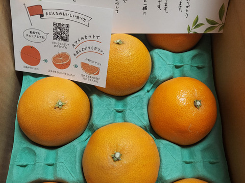 【贈答用】まるで天然ゼリー！まどんな（８～１２玉）×２箱　※12月上旬発送