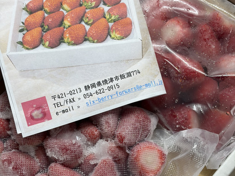 冷凍いちご「東京おひさまベリー」1キロ 【国産】 イチゴ 苺 スイーツ