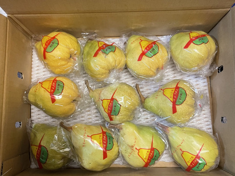 今が旬！高級洋梨 ル・レクチェ（約3kg 9~11個入り）【冬ギフト】