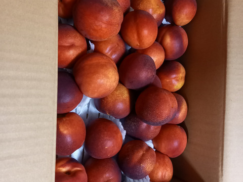 ネクタリン　訳あり4キロバラ詰め