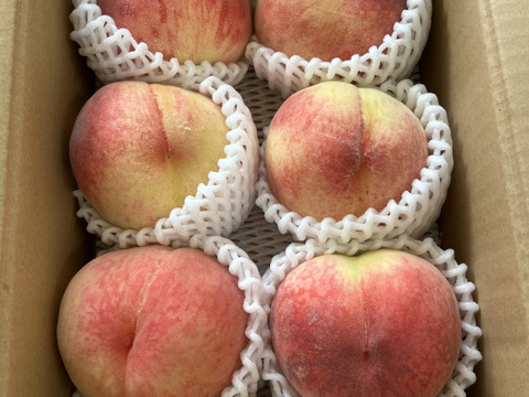 【期間限定！山梨県産桃訳アリ品種いろいろ🍑】すぐ発送！約2キロ！中～特大サイズランダム6～８個！一度食べたら忘れられない  その時期一番おいしい品種をお届け【品種おまかせ】