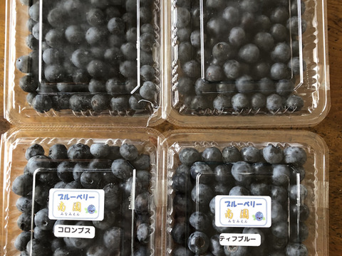 ブルーベリー生果280g x 4パック『パック毎に品種表示』